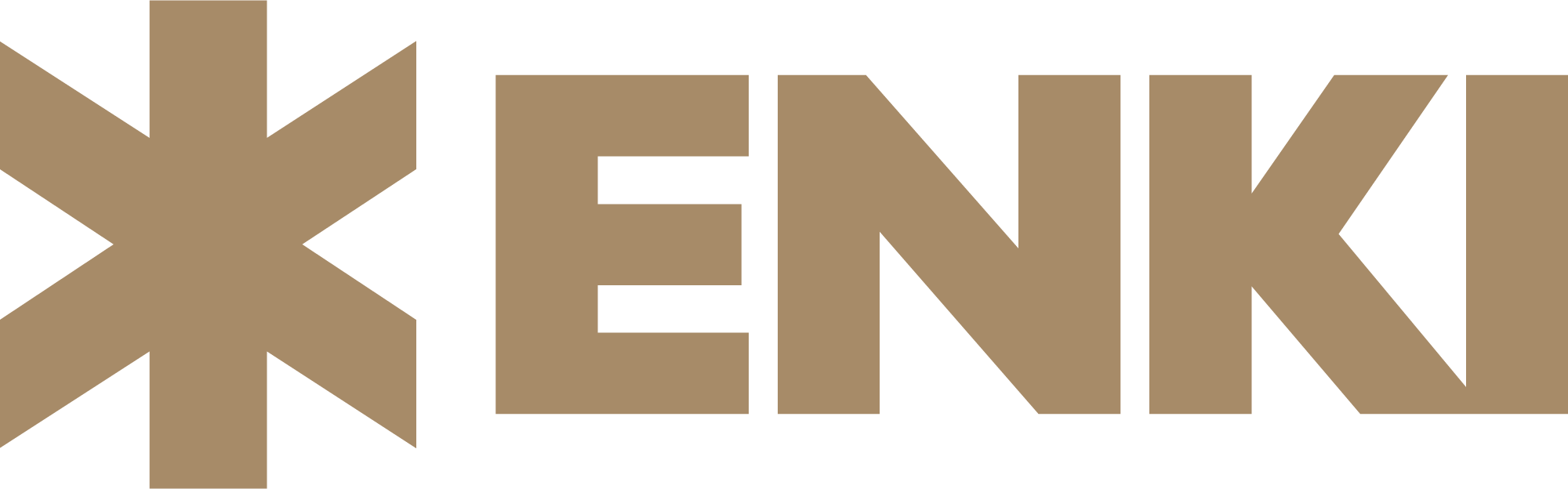 enkieyewear.com-enki-sunglasses-logo-gold-clear
